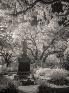 Bonaventure Cemetery IR 2 1070